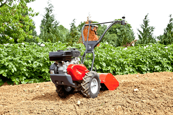 Terre - Motoculteurs - Motoculteur fraise arrière ROTO 404 HD EG