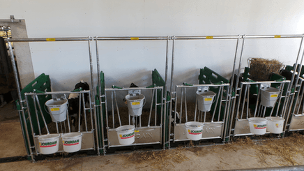 Matériel d'élevage - Case et logette veau - Cases à veaux JOURDAIN