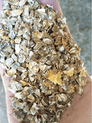 Alimentation - Aplatisseur à grains - Aplatisseur floconneur