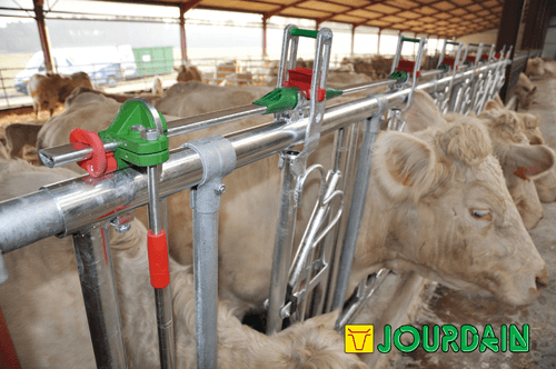 Matériel d'élevage - Matériel tubulaire - Cornadis SAFETY IV
