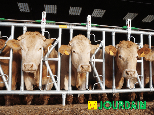 Matériel d'élevage - Matériel tubulaire - Cornadis SAFETY IV