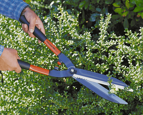 Viticulture, arboriculture - Sécateurs - Cisailles P51-F