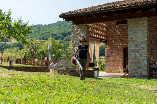 Nettoyage désherbage - Souffleur - SOUFFLEUR THERMIQUE À MAIN BV250